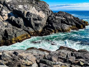 Monhegan Island 2024 (Day 3 Through the Woods to Squeaker Cove)