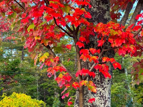 October poem by Paul Laurence Dunbar