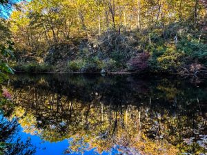 October Foliage Photos from Hikes at Huntington