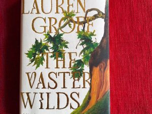 Vaster Wilds (Book Review)