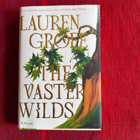 Vaster Wilds book review