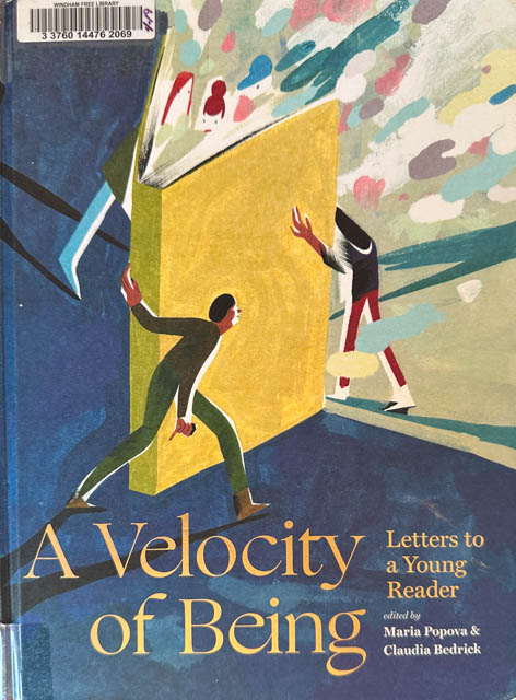 Velocity of Being book review