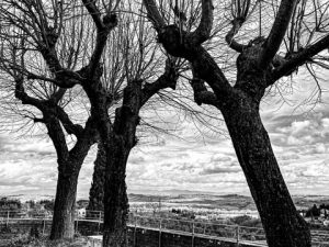 Black and White Photos of Tuscany