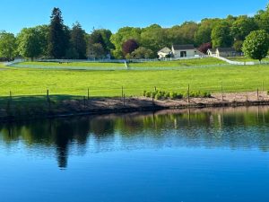 Spring at New Pond Farm (Photos)