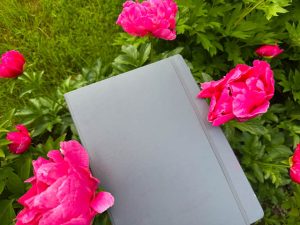 Recent Pages in my Bible Lesson Journal