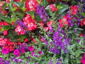 Fertility and Conception (Deep Think #30)