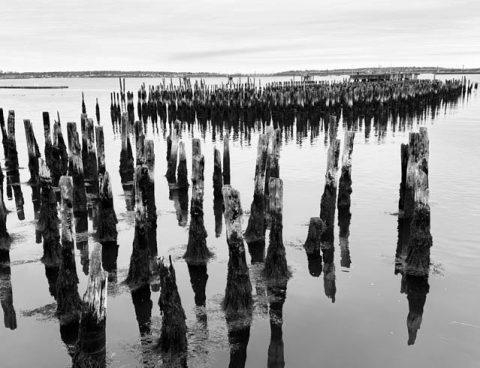 Black and white Photographs by Polly Castor