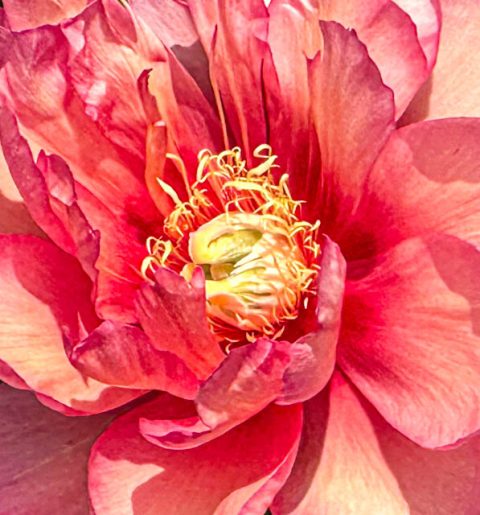 Mid Coast Maine Botanical Gardens Photos