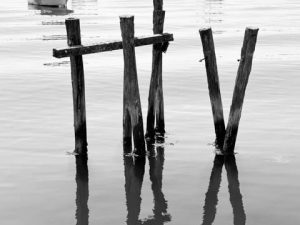 Recent Black and White Photos from Maine