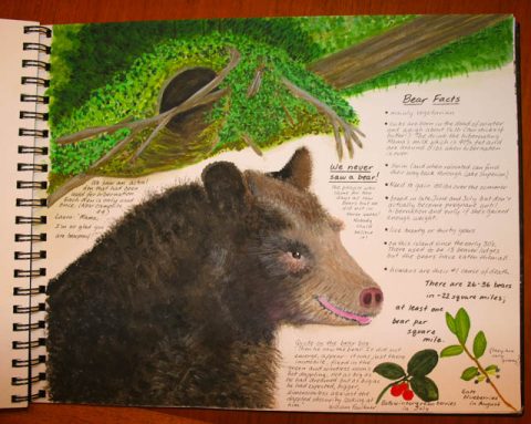 Elements to put on a Nature Journaling Page