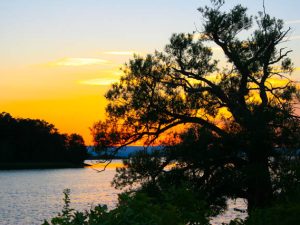 When the Sun (Poem by Juniper Klatt)