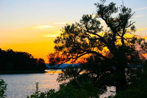 When comes the Sun poem by Juniper Klatt