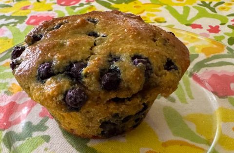 Grain free Blueberry muffin recipe