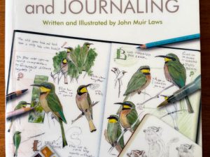 The Laws Guide to Nature Drawing and Journaling (Book Review with Quotes)