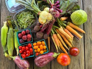 Farmer’s Market Photos