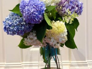 Home to our Garden (Photos)