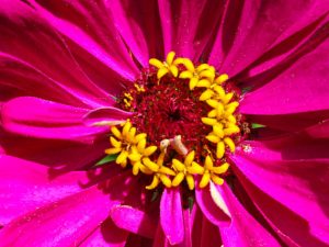 What We Appreciate About Christian Science