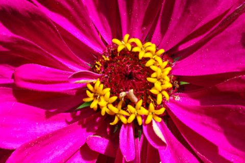 What We most Appreciate About Christian Science