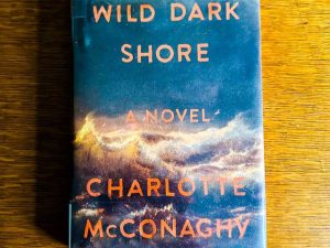 Wild Dark Shore (Book Review)