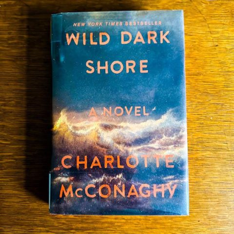 Wild Dark Shore book review