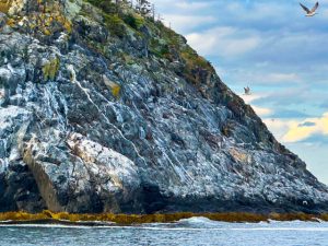 Monhegan (Last Day and Leaving Photos)