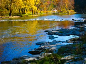 Right Here (Poem by Rosemerry Wahtola Trommer)