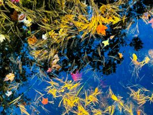 Hike Photos from Huntington State Park (October 2025)