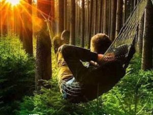 Bits and Clips for October 2025