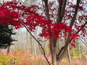 Hike Photos of Huntington State Park (November 2025)