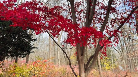 November Photos of Huntington State Park