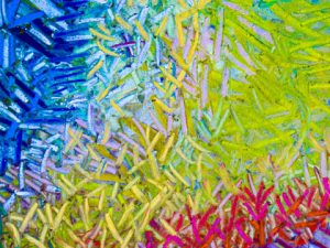 Joy is a Stubborn Courage (Maria Popova Quote)