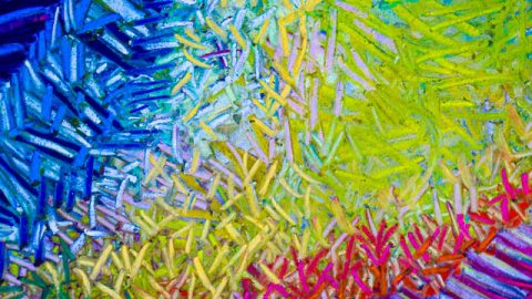 Joy is a stubborn act of courage, Maria Popova quote