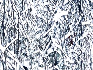 The Moor (Poem by R.S. Thomas)