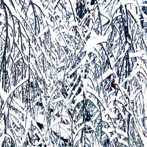 The Moor, poem by T.S. Thomas