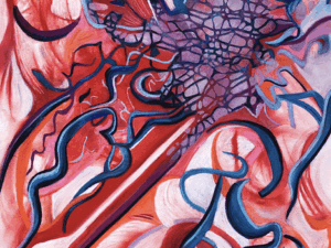 Today’s Scriptural Selection from the Message Version of the Bible