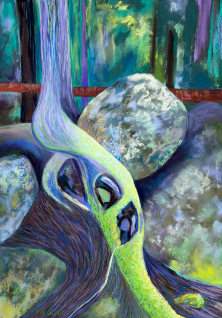 Roots over Rocks in Cathedral Woods, Monhegan, pastel painting by Polly Castor