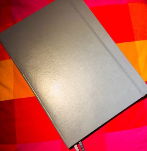 Recent pages in my Bible Lesson Journal