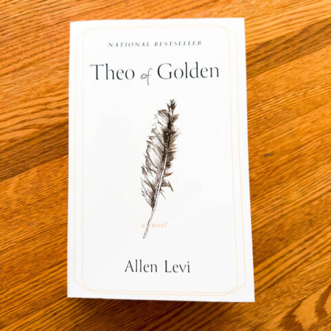 Theo of Golden book review