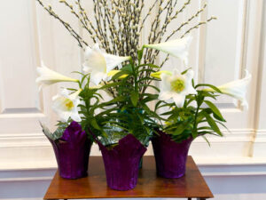 Secular Easter Photos 2026