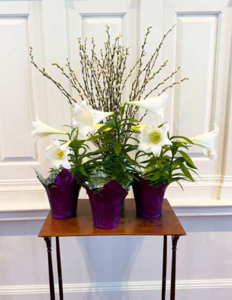 Secular Easter Photos 2026