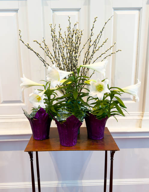 Secular Easter Photos 2026