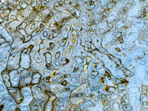 Commemoration of Yom HaShoah