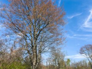 Hike Photos from Huntington State Park (April 2026)