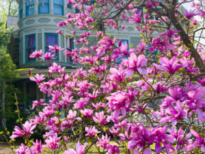 All Around Us is Holy (Quote by Teilhard de Chardin)