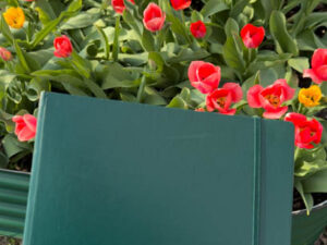 Recent Pages in my Bible Lesson Journal