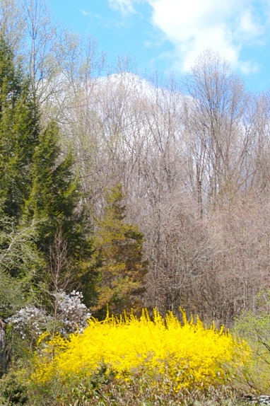 April Hope, poem by Polly Castor