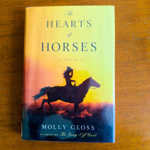 Hearts of Horses book review
