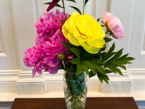 Photos of our Peonies with links to Peony Poetry