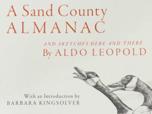 A Sand County Almanac (Book Review)