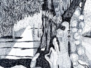 Drawing Brings Connectedness (Quote by by Frederick Franck)